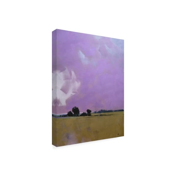 Paul Bailey 'Over The Fields To The Distant Sea' Canvas Art,14x19